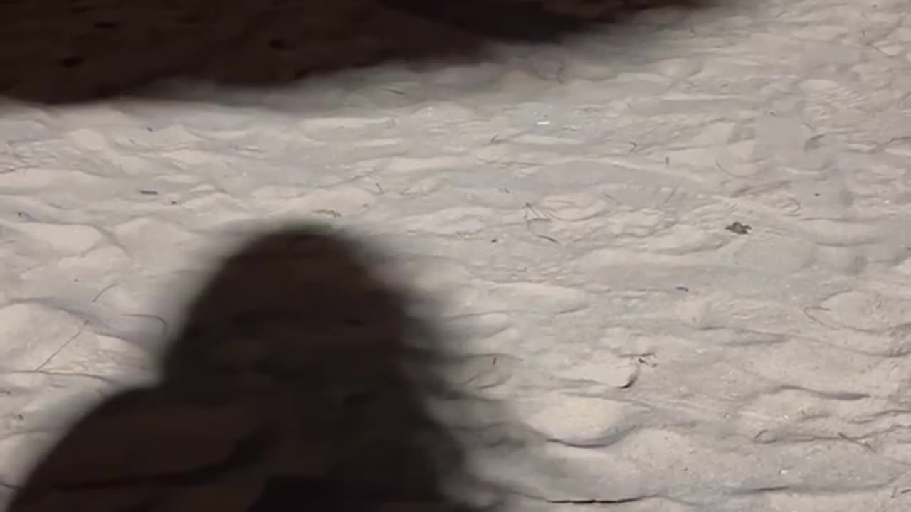 😨👻 Weird Movement Over My GF's Shadow Caught on Video! | TheHauntingHour