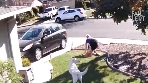 Funny Fails Compilation: People Failing Hilariously