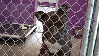 VID_20250926_142852347