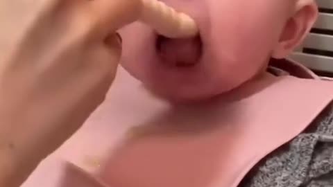 Юмор дети собачки котики