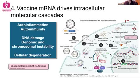 mRNA Technology Dangers - A summary