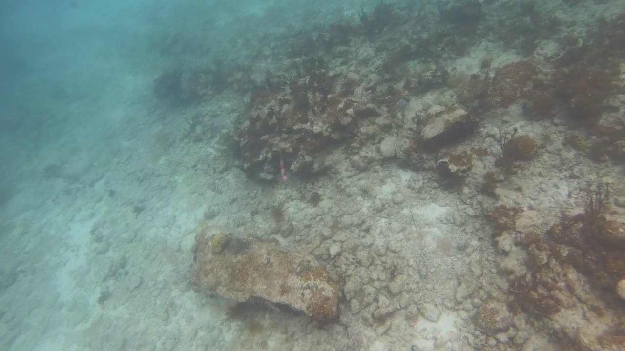 Snorkeling at Trunk Bay, St John USVI