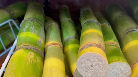 Sugar cane haul