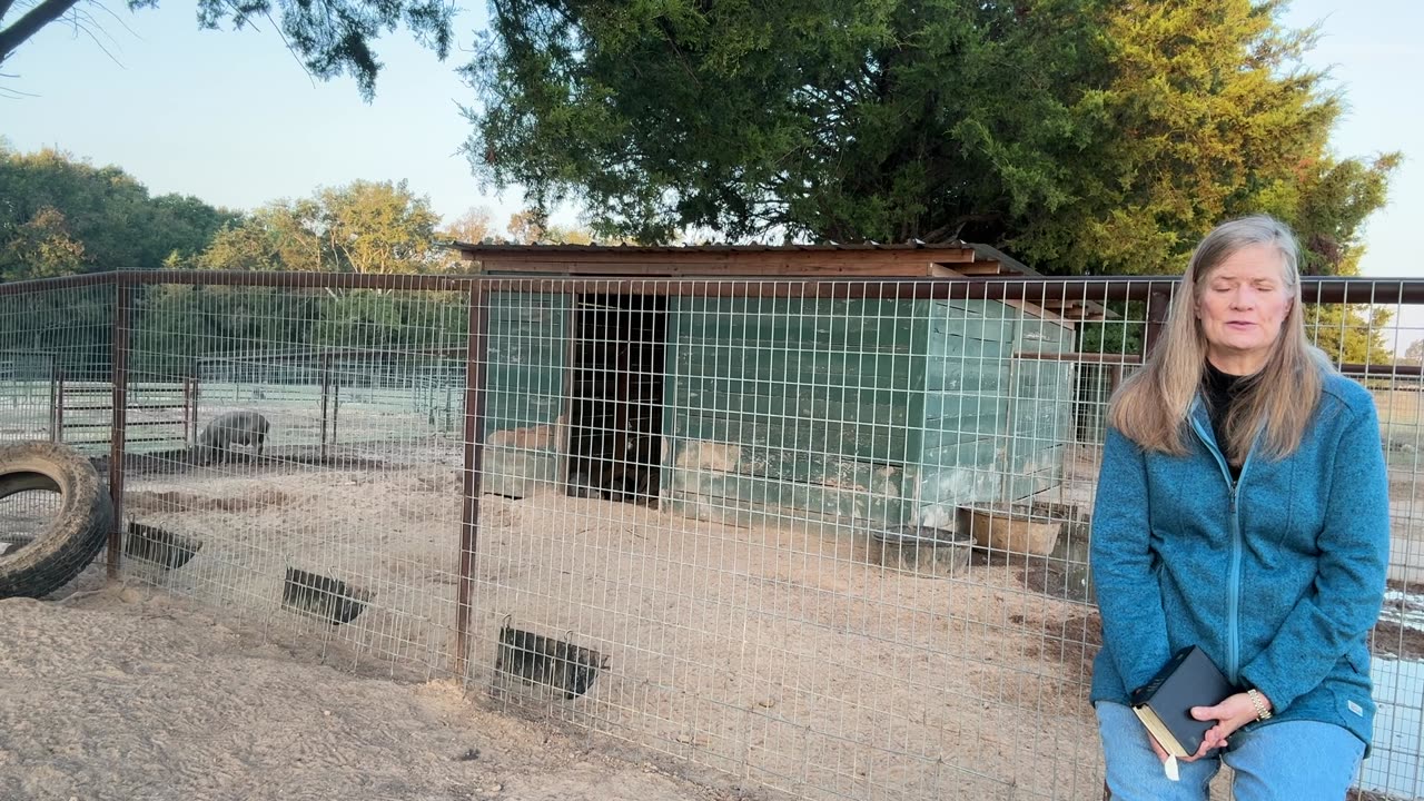 Morning Prayer, Daily Office