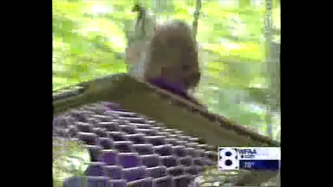 2002 WFAA Dallas Discussed Vaccines, Mercury and Autism