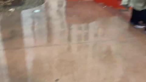 lolo the lefty goes protesting