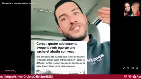 ApéroLive Love avec Vous les Zzz'Amis 04/11 Les Zzz'Infos Bonheur de Leelou