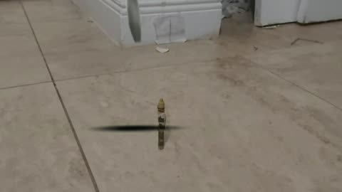 Crayon gets bombed?!