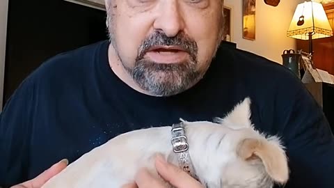 Agent of Destruction – What Really Destroys Us