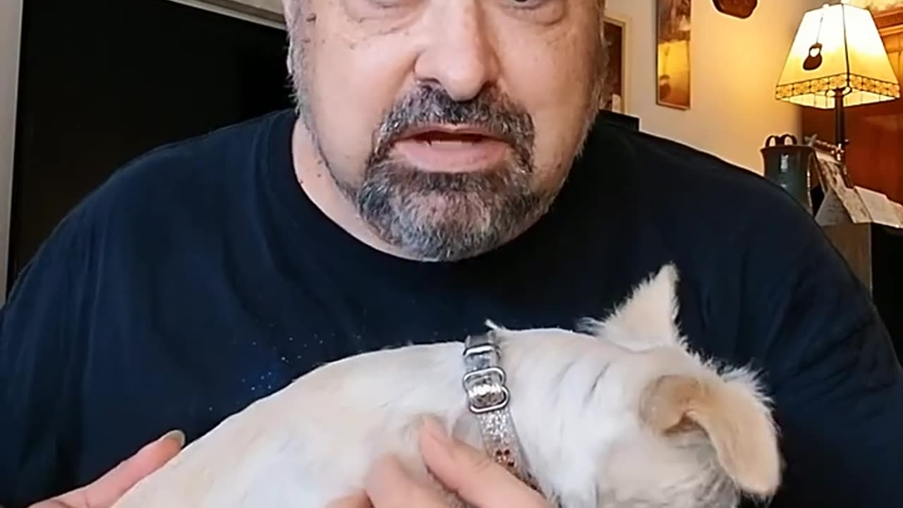 Agent of Destruction – What Really Destroys Us