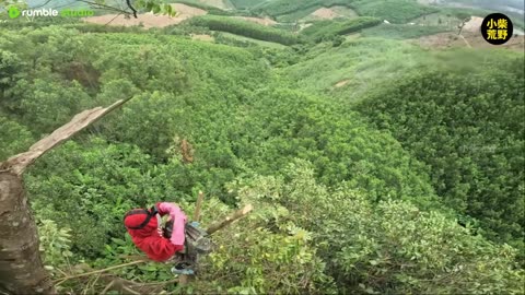 A skilled and daring foreign guy is harvesting honey outdoors!!!