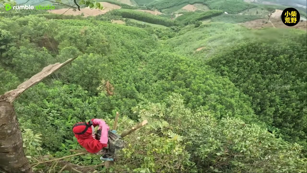 A skilled and daring foreign guy is harvesting honey outdoors!!!