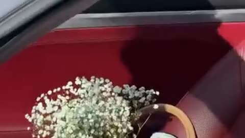 The making of a Celcius commercial