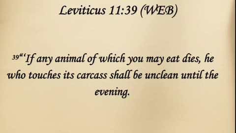 Leviticus 10-11 & Mark 10 | February 19th | 2026 Global Bible Journey