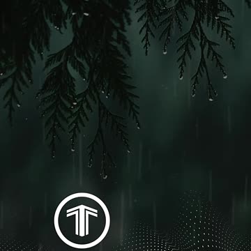 МЫ ДОЛЖНЫ ОШИБАТЬСЯ... #shrots #tompitai #томпитай