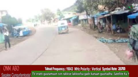 Oduu Waaree ONM-ABO Amajjii 3-2025 itti dhiyaadhaa!