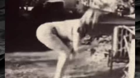 😱👻 You Won't Believe What They Caught on Camera! Creepy Paranormal Videos | TheHauntingHour