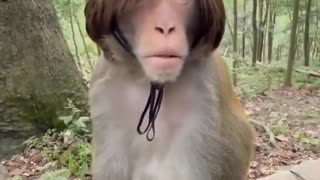 😂💇 You Won't Believe This Hairstyle! | FunFM