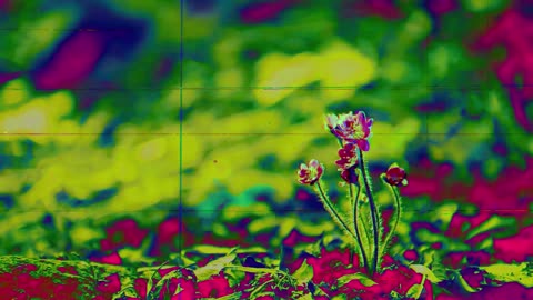 brief moment of peace