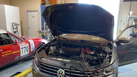 Animal Speedwerks - Mechanic Shops in Crossville, TN