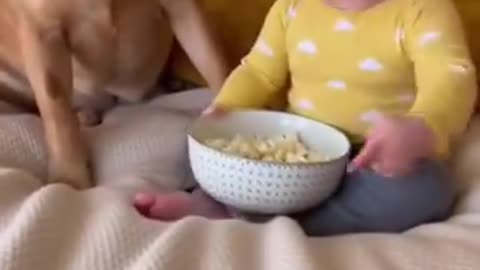 Cute Kid Playing with a Friendly Dog | Funny & Heartwarming Moments