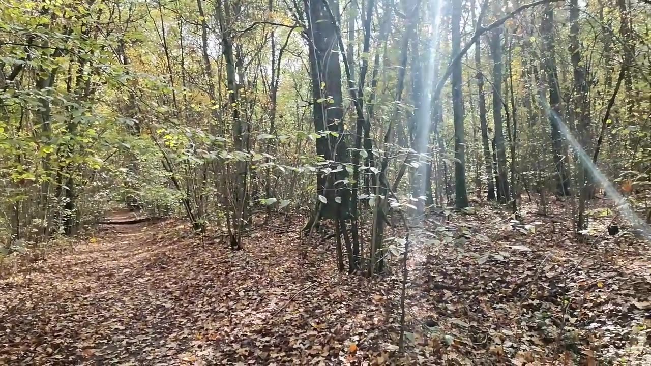 sprawdzam ...