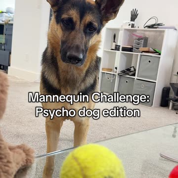 She hasn't blinked in 3 minutes