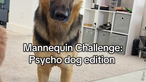 She hasn't blinked in 3 minutes