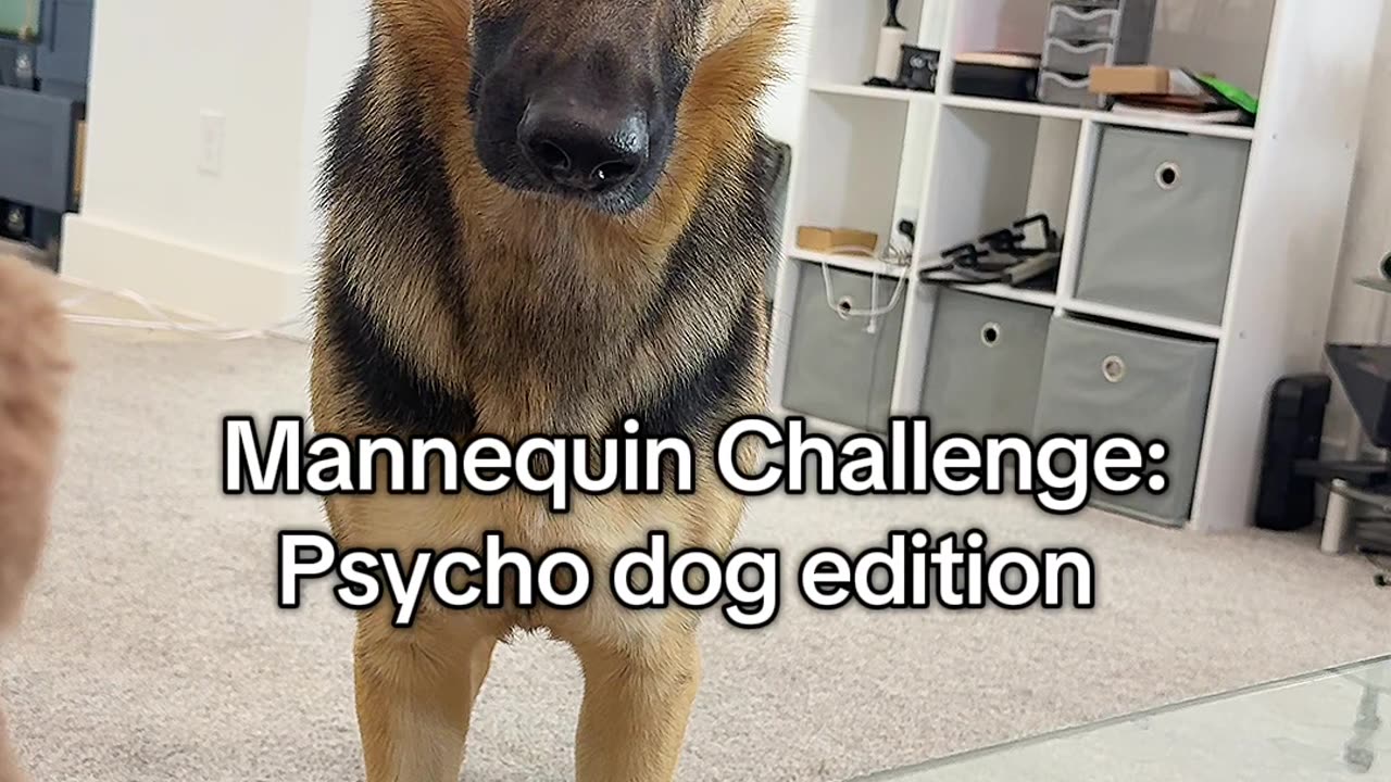 She hasn't blinked in 3 minutes