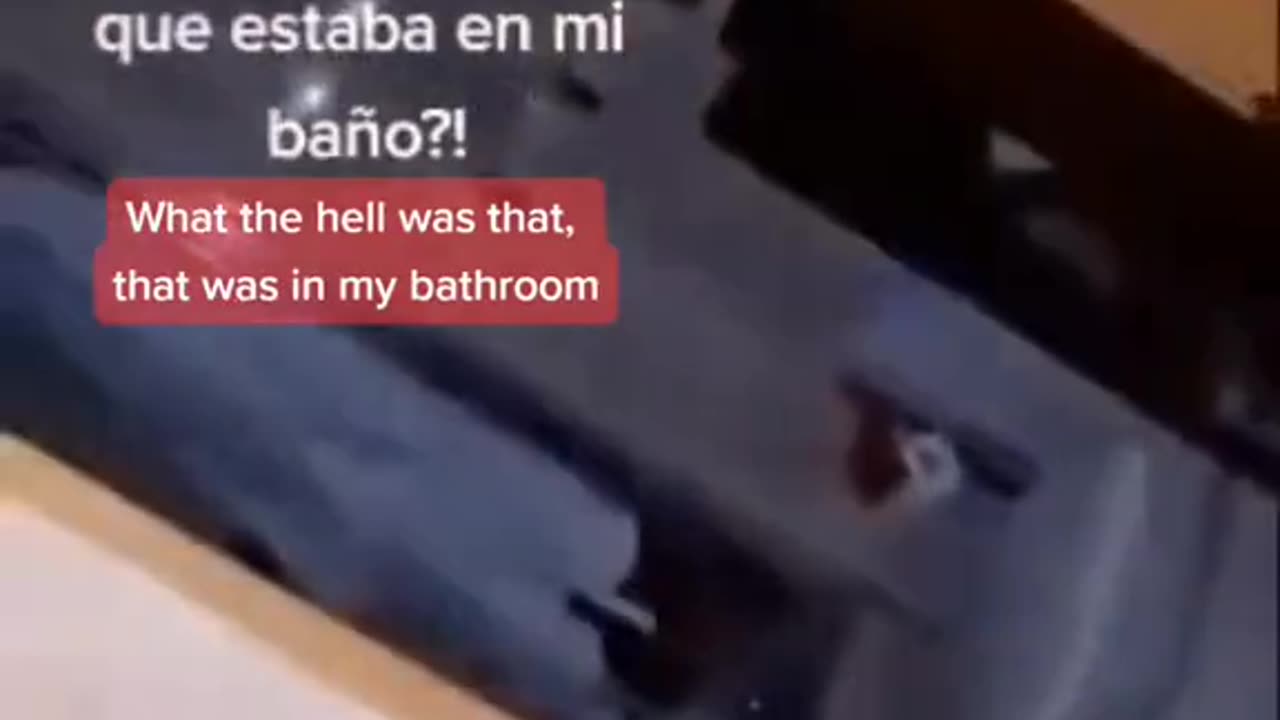 😨🕰 What Time Did You See This? The Ghostly Vision That Haunts All Clocks | TheHauntingHour