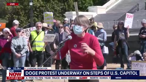 WATCH: Protester Makes Worst Possible Argument Against Elon, DOGE