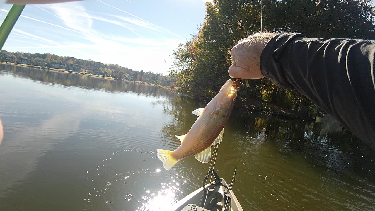 Bass Cam and com trails