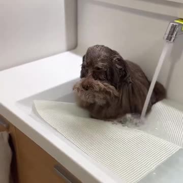 My excitement level about work on a Monday morning