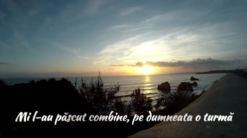Dănilă Mureșianu - Naiv