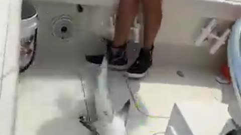 Funny Fishing