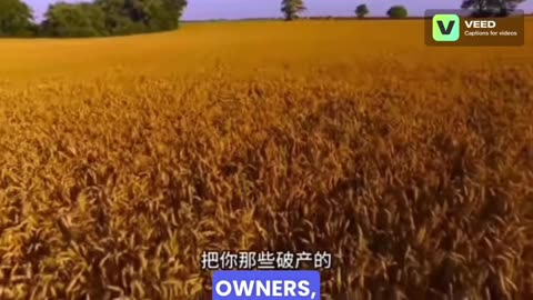 China learned its lesson from the US's near-destruction of its soybean market between 2004 and 2008
