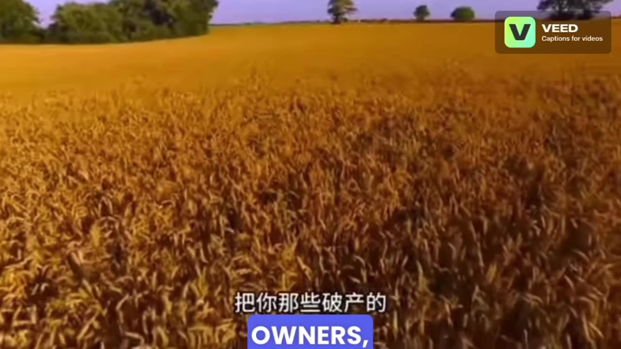 China learned its lesson from the US's near-destruction of its soybean market between 2004 and 2008
