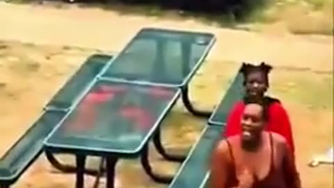 THE SECTION 8 URBAN ZOO