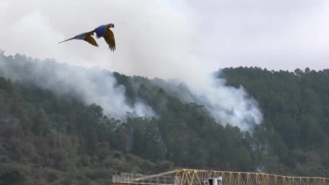 Venezuelan houses destroyed in US operation that captured Maduro