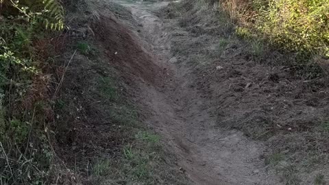 MTB trek downhill incident
