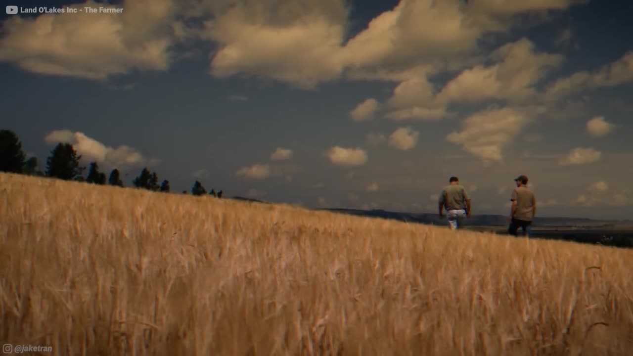 Why Are There So Many Genders Now?