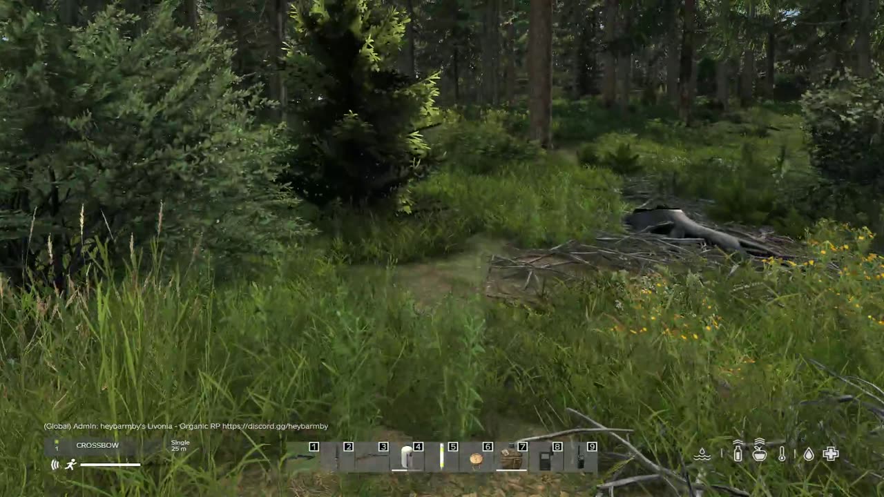 Dave's Fishing Camp In DayZ's Heybarmby's Livonia Season 2 Day 53