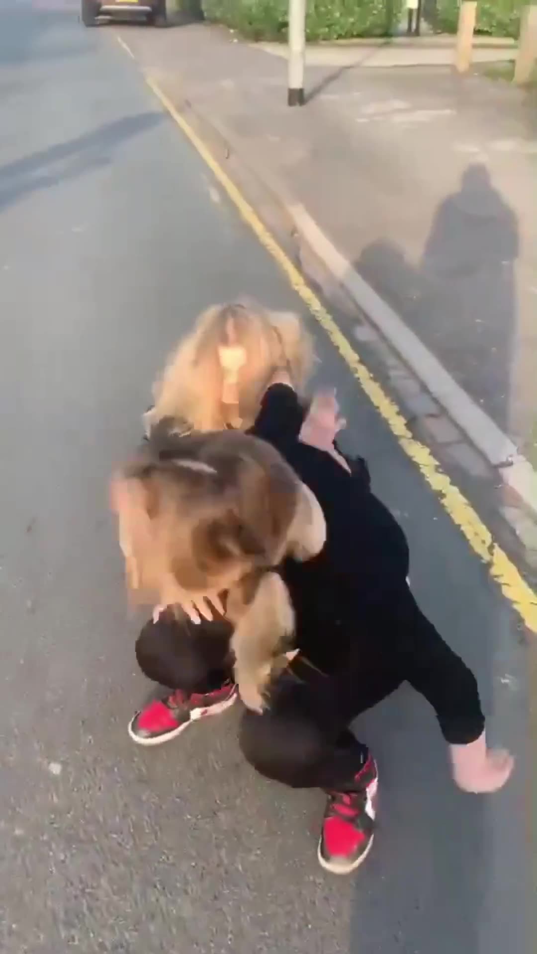 Crazy Girl Fight Catfight on the Streets