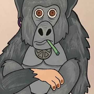 Chilla Gorilla timelapse