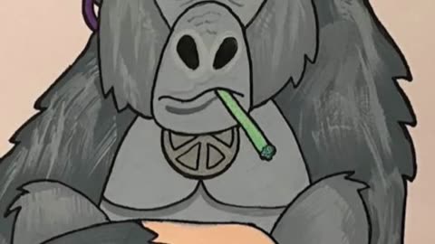 Chilla Gorilla timelapse
