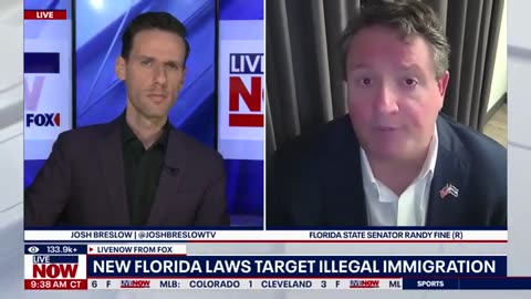 Florida strengthens illegal immigration laws, lawmaker explains | LiveNOW from FOX