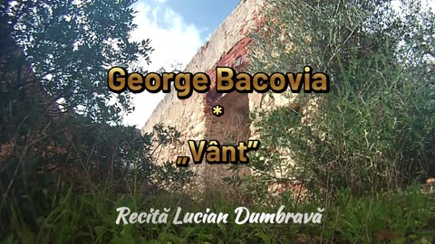 George Bacovia - Vânt