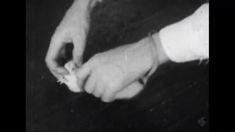 Experimentally Produced Neurotic Behavior in the Rat