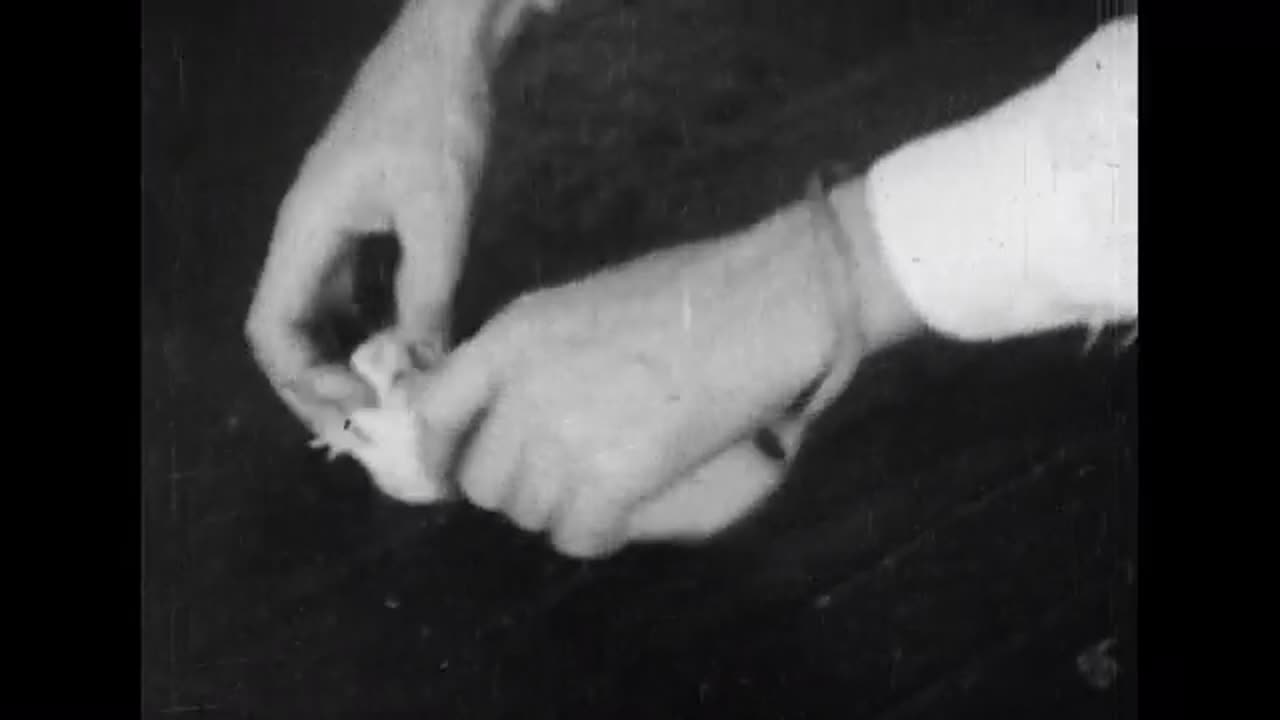 Experimentally Produced Neurotic Behavior in the Rat