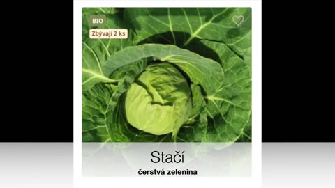 Krátká uzdička (ankyloglossia)